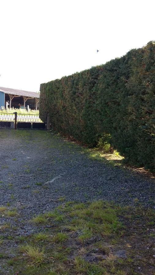 Holiday home Ferme De La Ruette Courtils